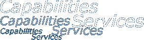 Capabilities Services